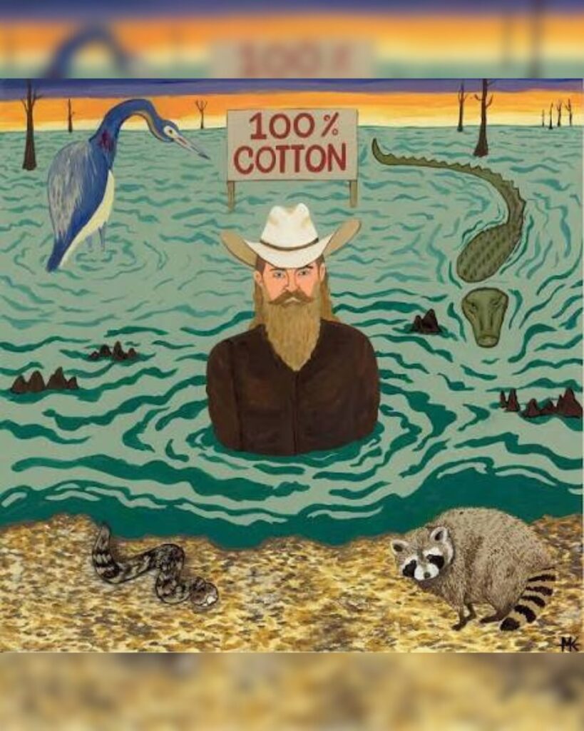 100% Cotton album cover